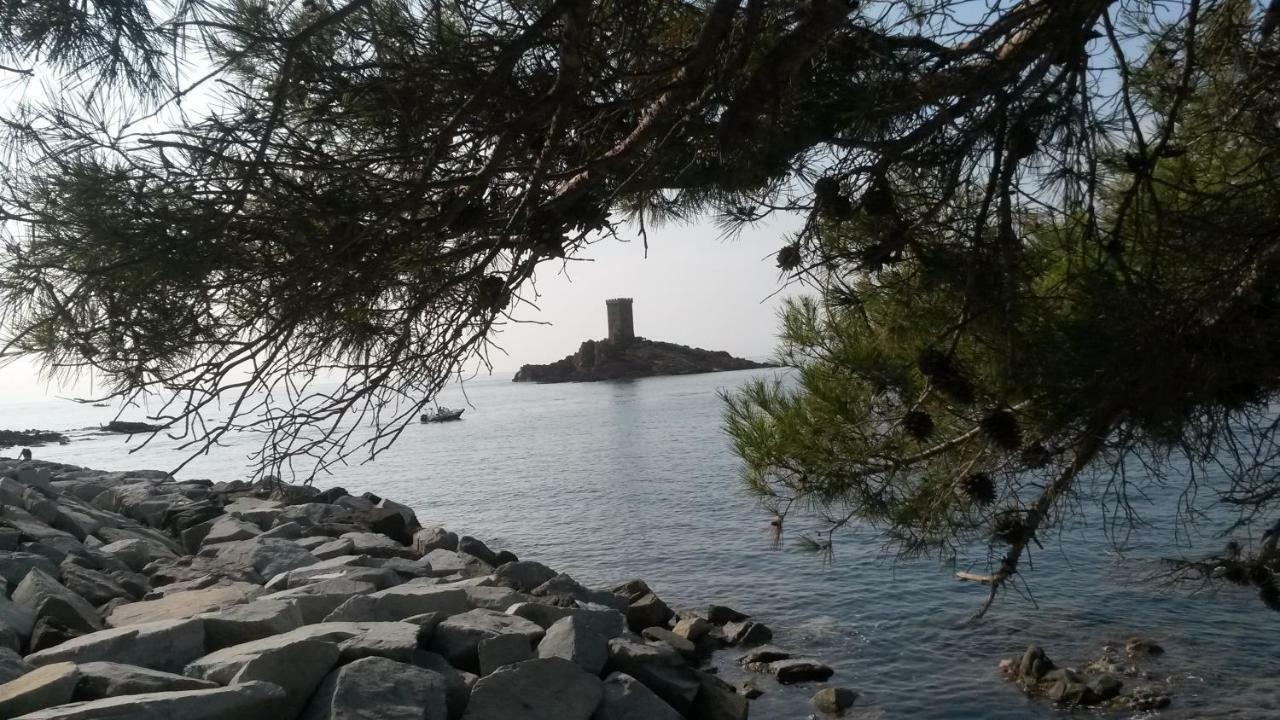 L'Ecureuil De L'Esterel Saint-Raphaël Exterior foto